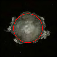 
	Picture of damage discovered on ISS ATA-3, Impact No. 44.
